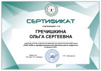 Сертификат вебинара